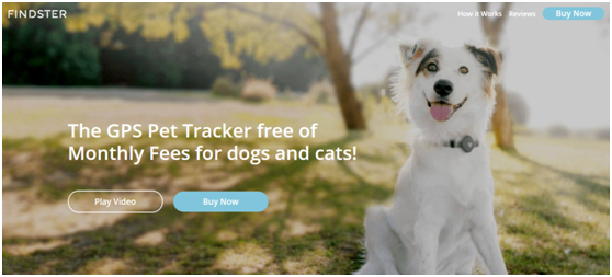 揭秘：独霸亚马逊Pet Location & Activity Trackers品类畅销榜Top5的卖家